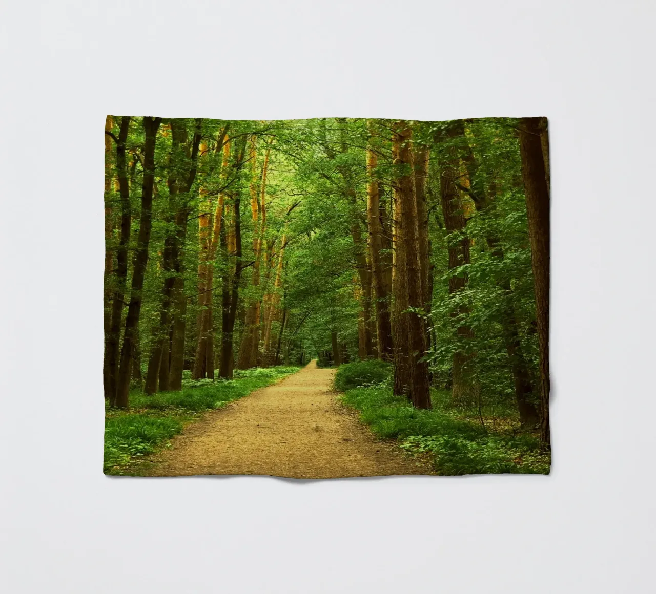 Forest path Fleecedecke von Atteloi