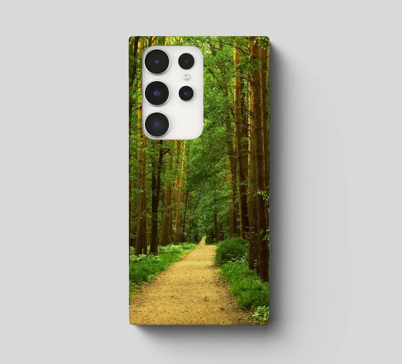 Sentiero forestale cover samsung da Atteloi