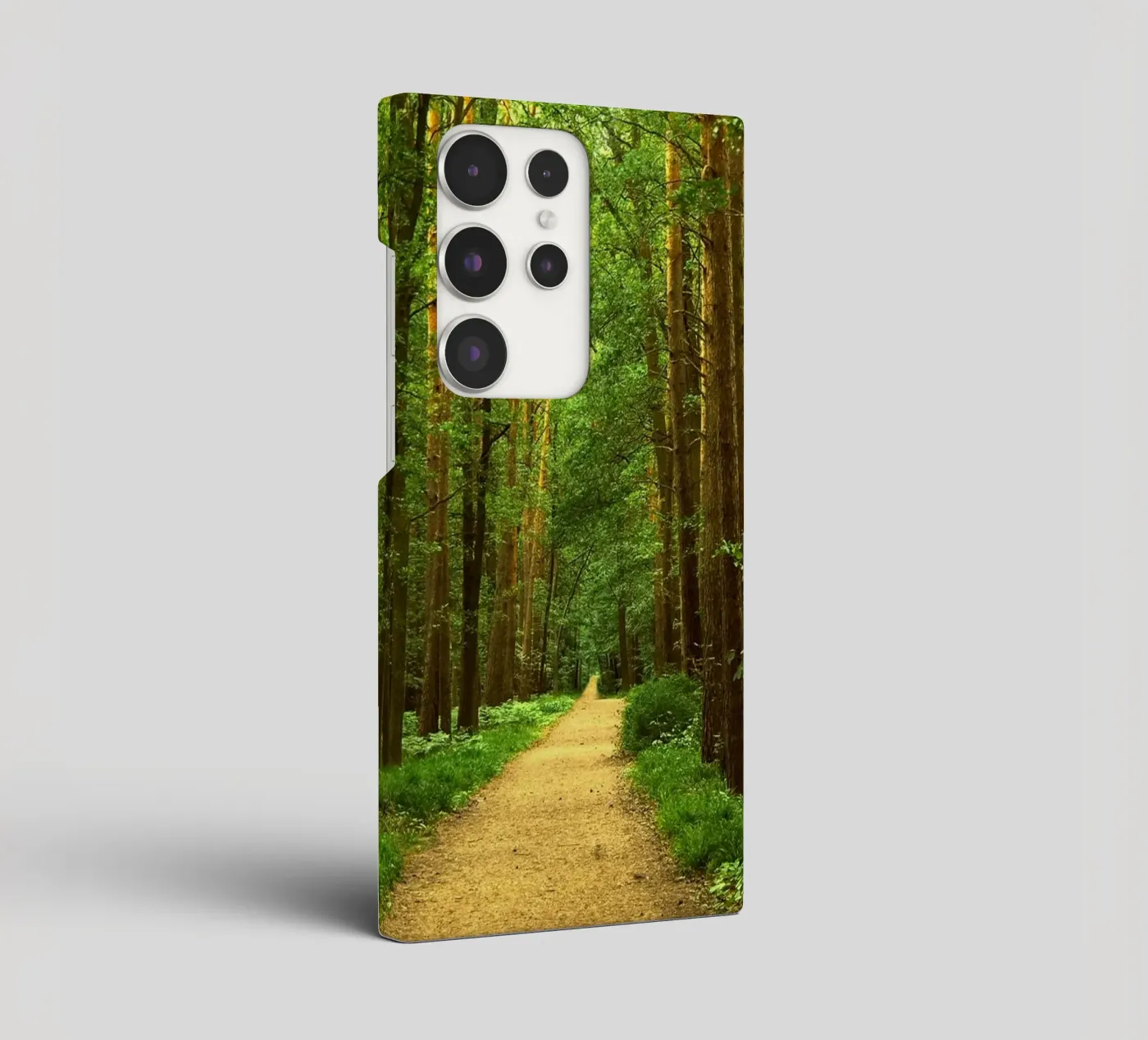 Sentiero forestale cover samsung da Atteloi