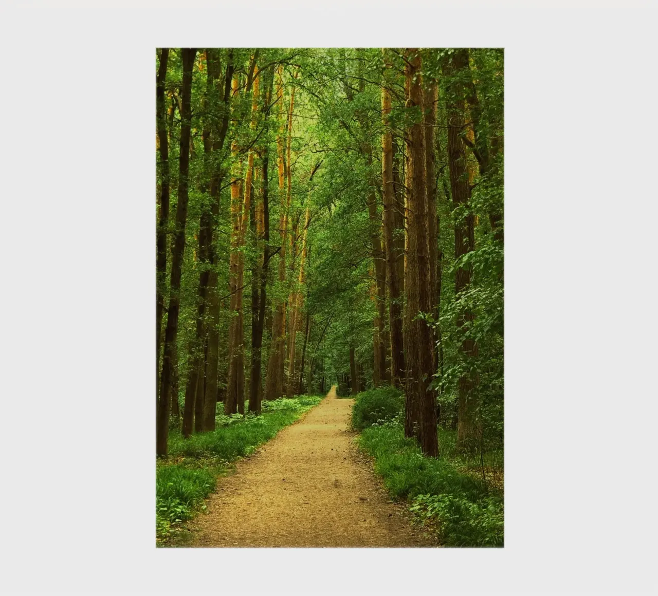 Waldweg Notizbuch von Atteloi