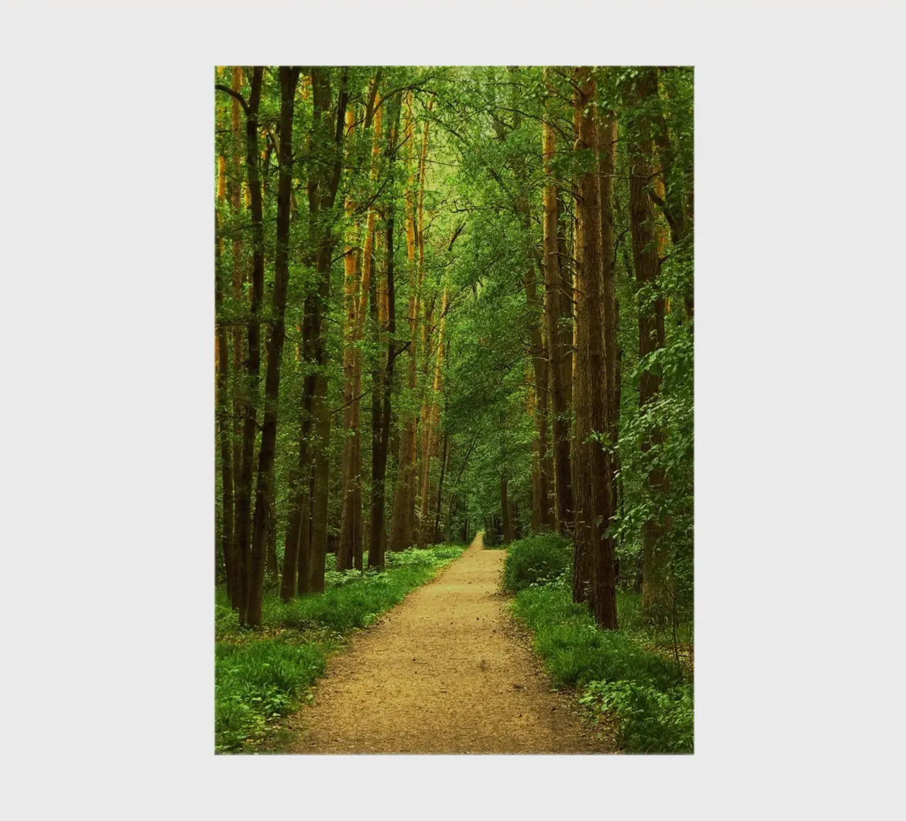 Waldweg Notizbuch von Atteloi