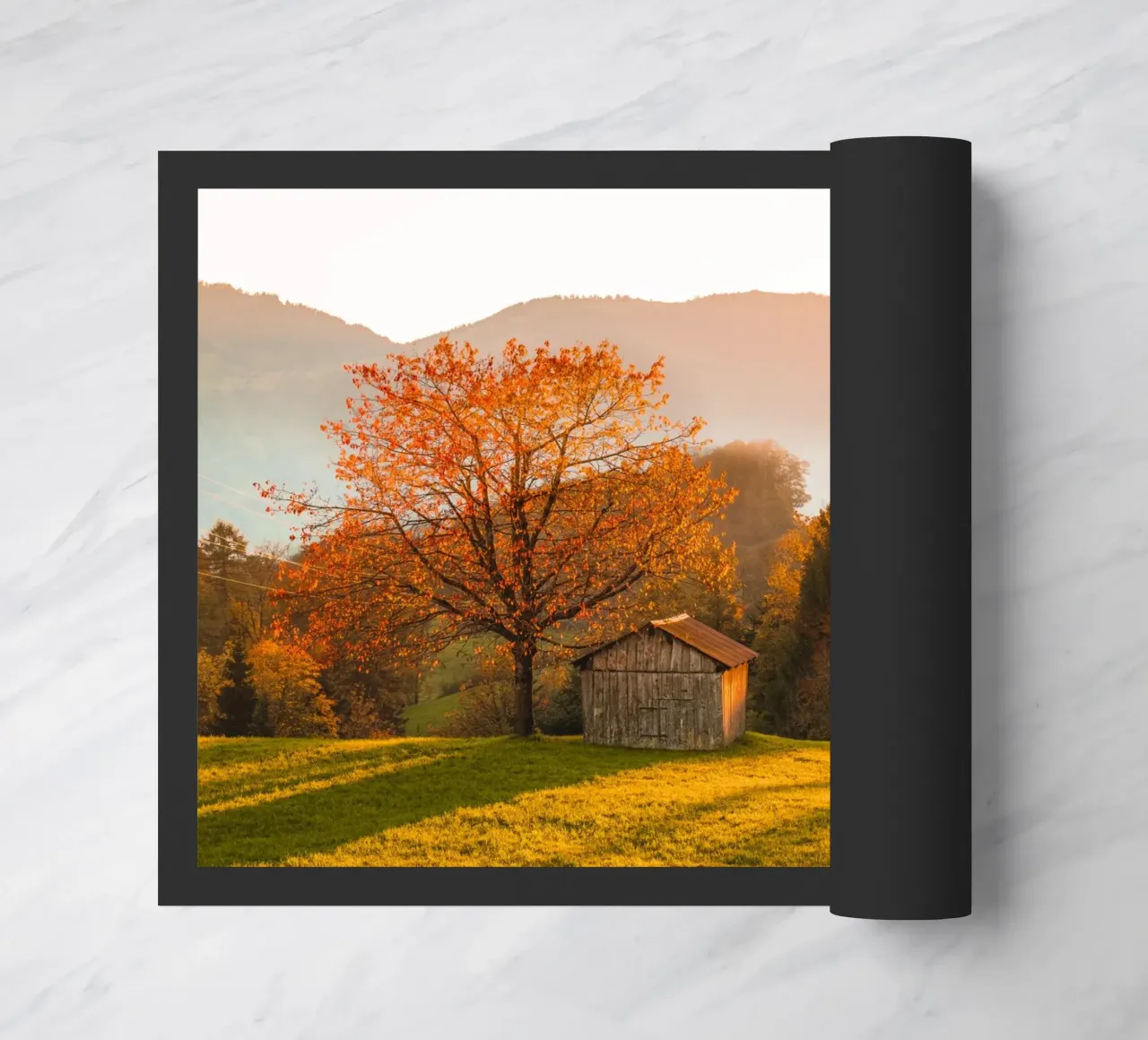 Albero d'autunno in Svizzera zerbino da Marcel Bisig