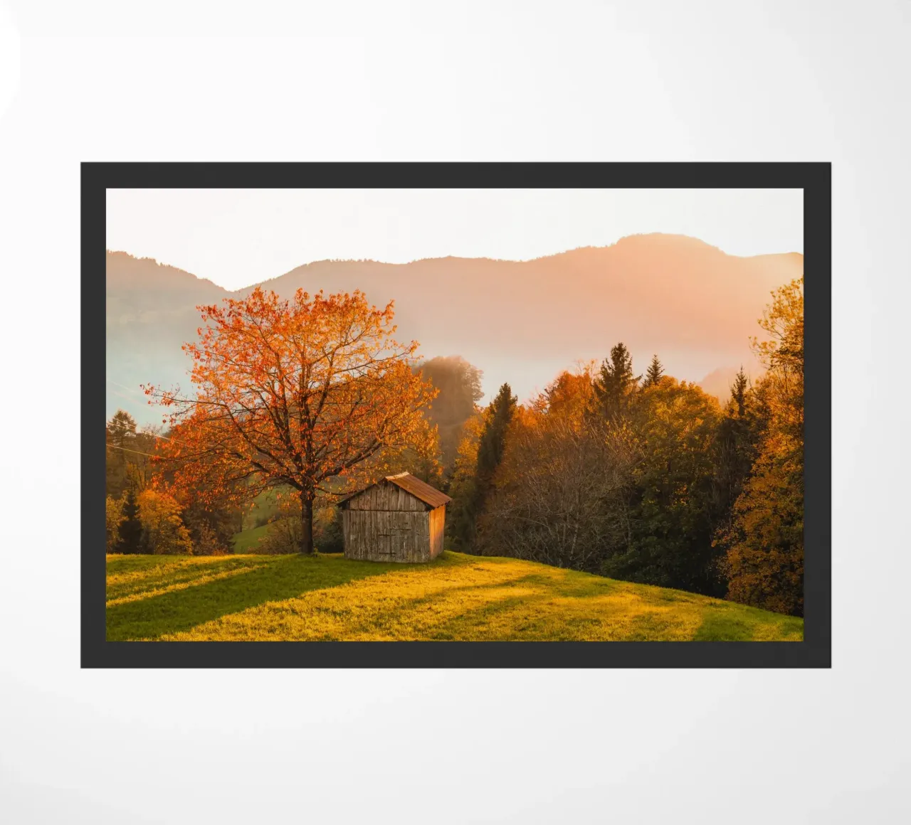 Albero d'autunno in Svizzera zerbino da Marcel Bisig