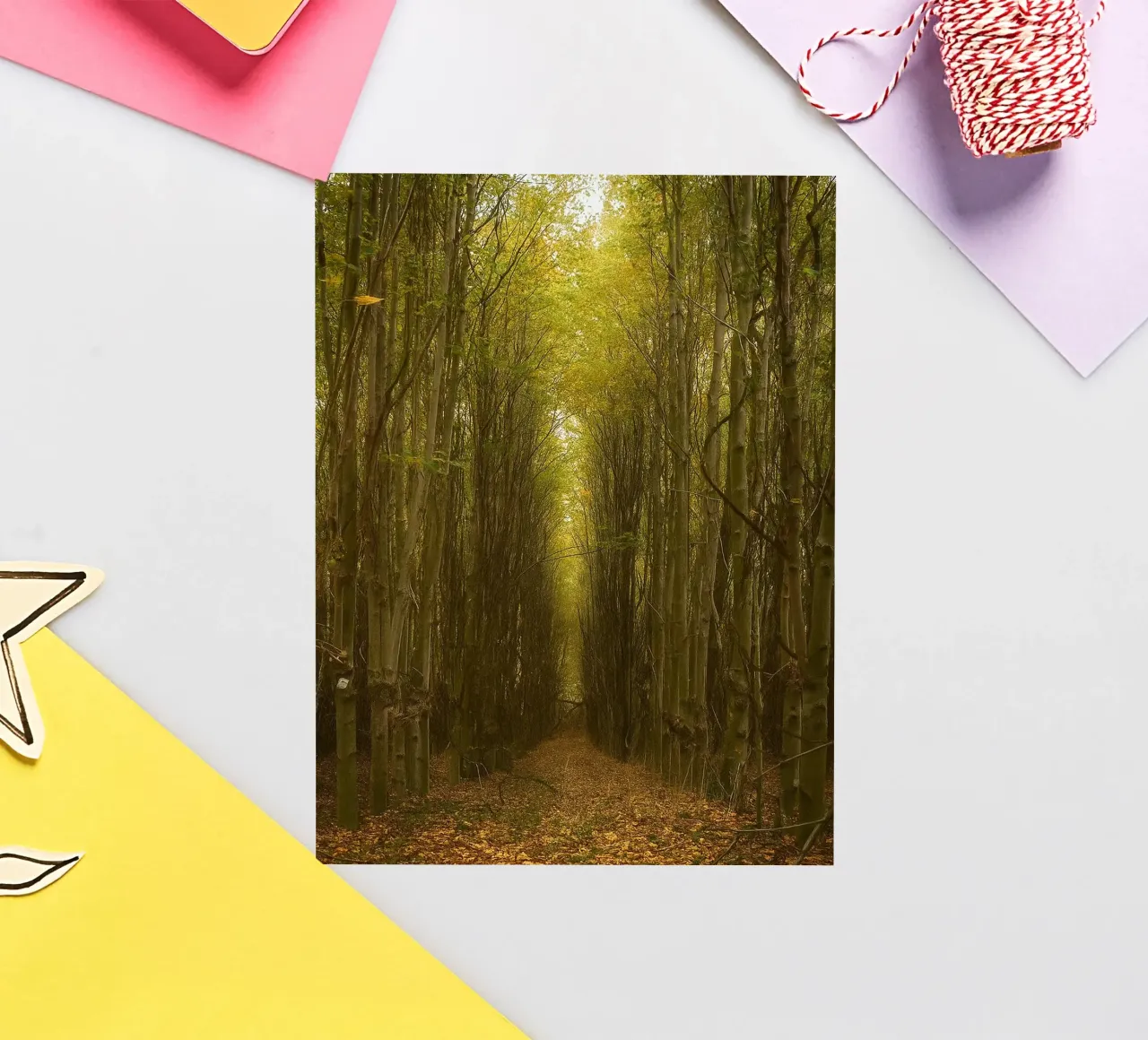 path road at the forest sticker by Klapadoa