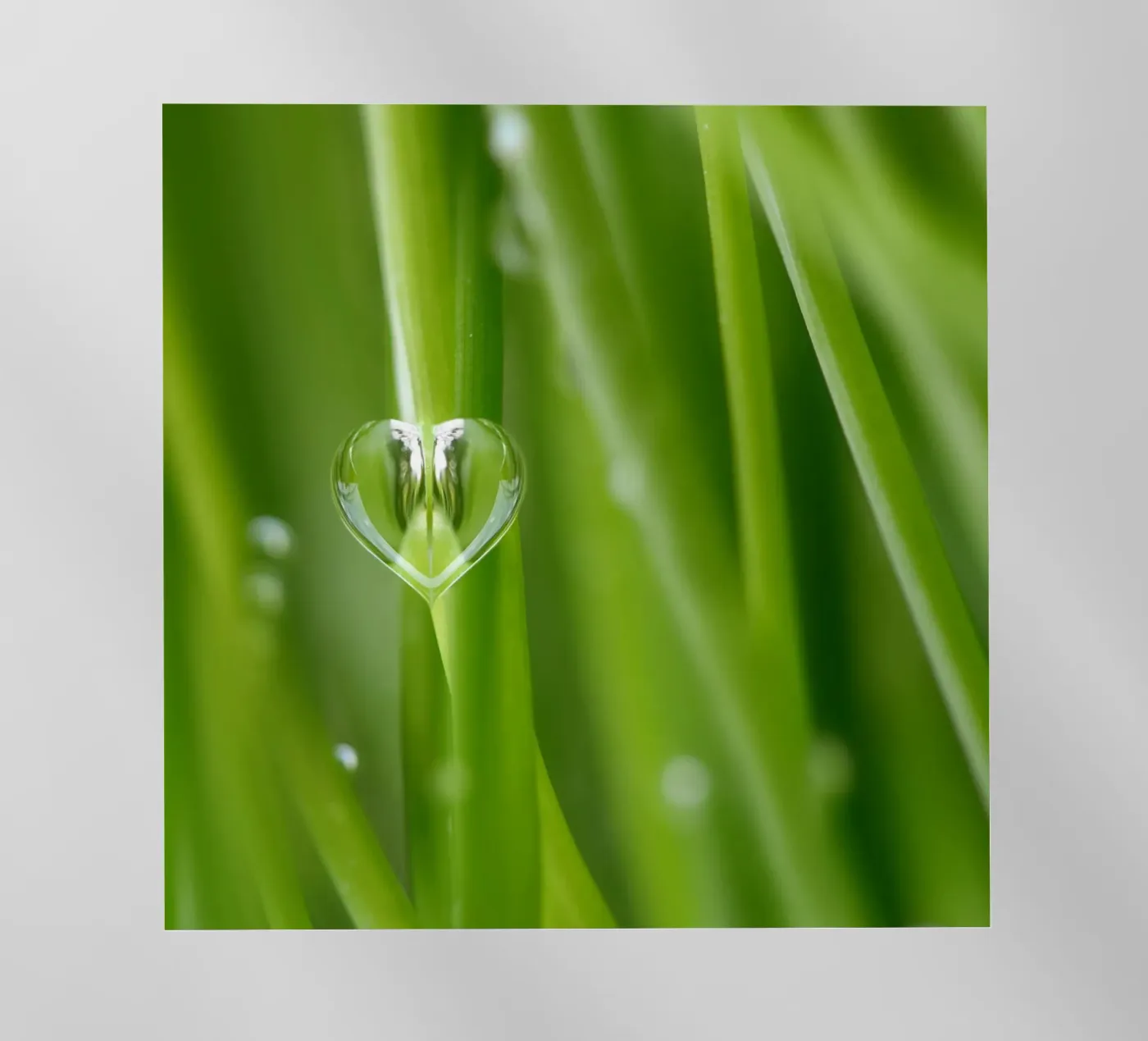 Gocce pellicola backlit da Atteloi Fotografie