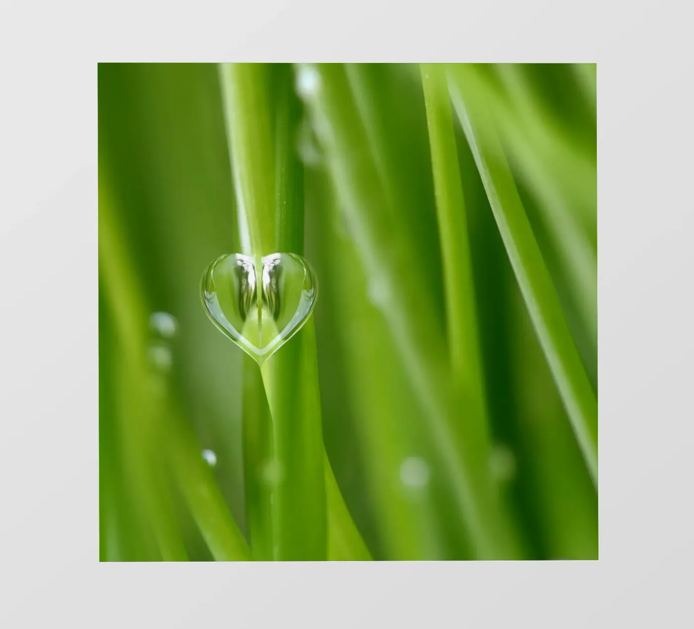 Gocce pellicola backlit da Atteloi Fotografie