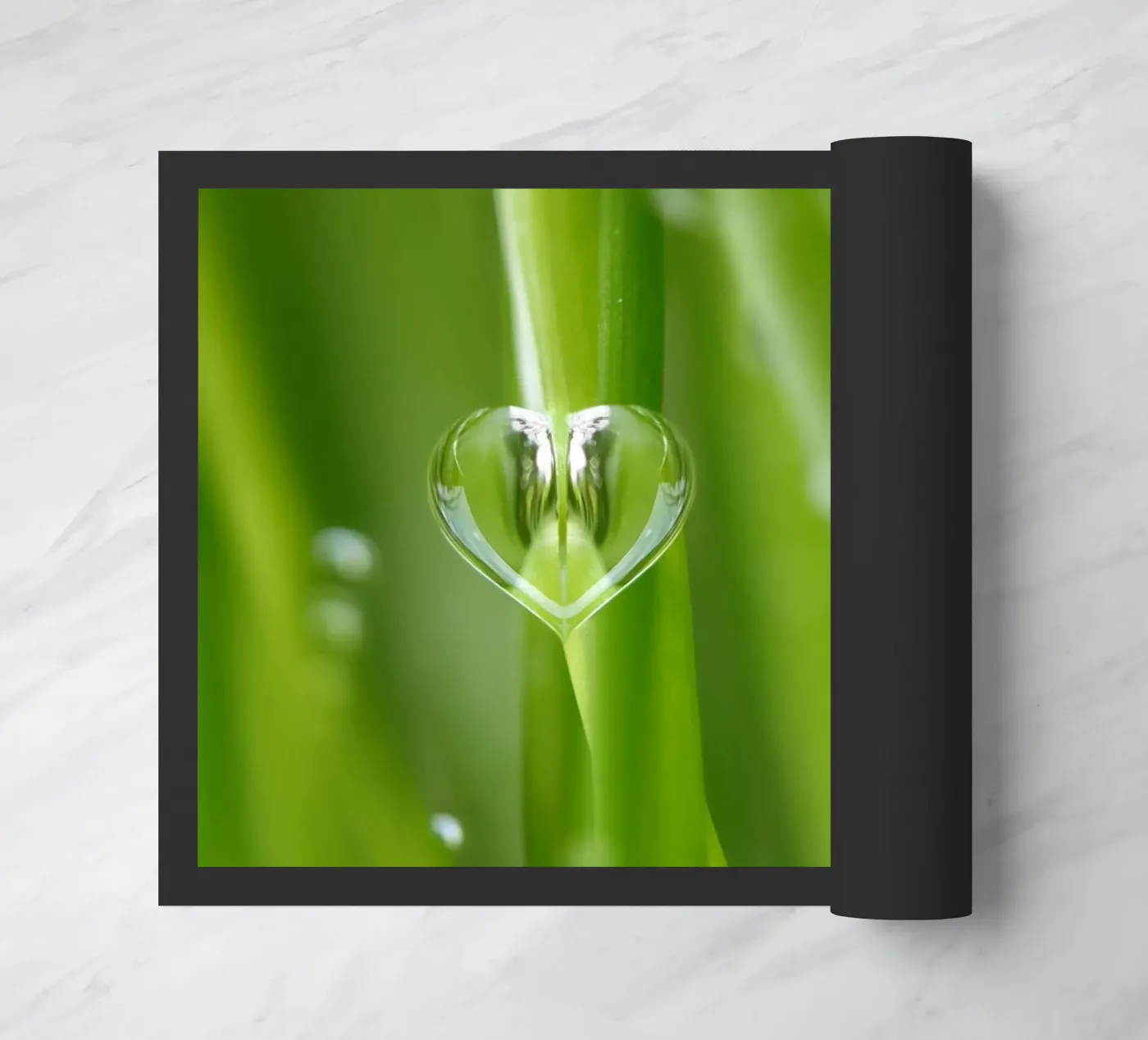 Gocce zerbino da Atteloi Fotografie