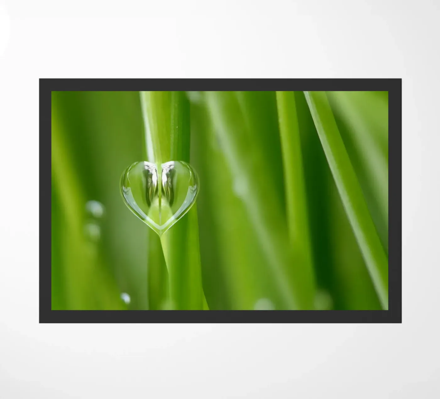 Gocce zerbino da Atteloi Fotografie