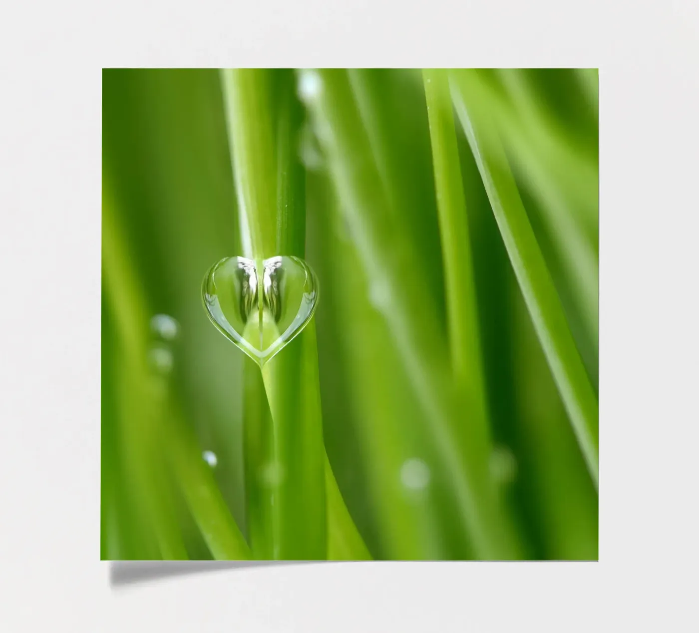 Drops sticker sheet by Atteloi Fotografie