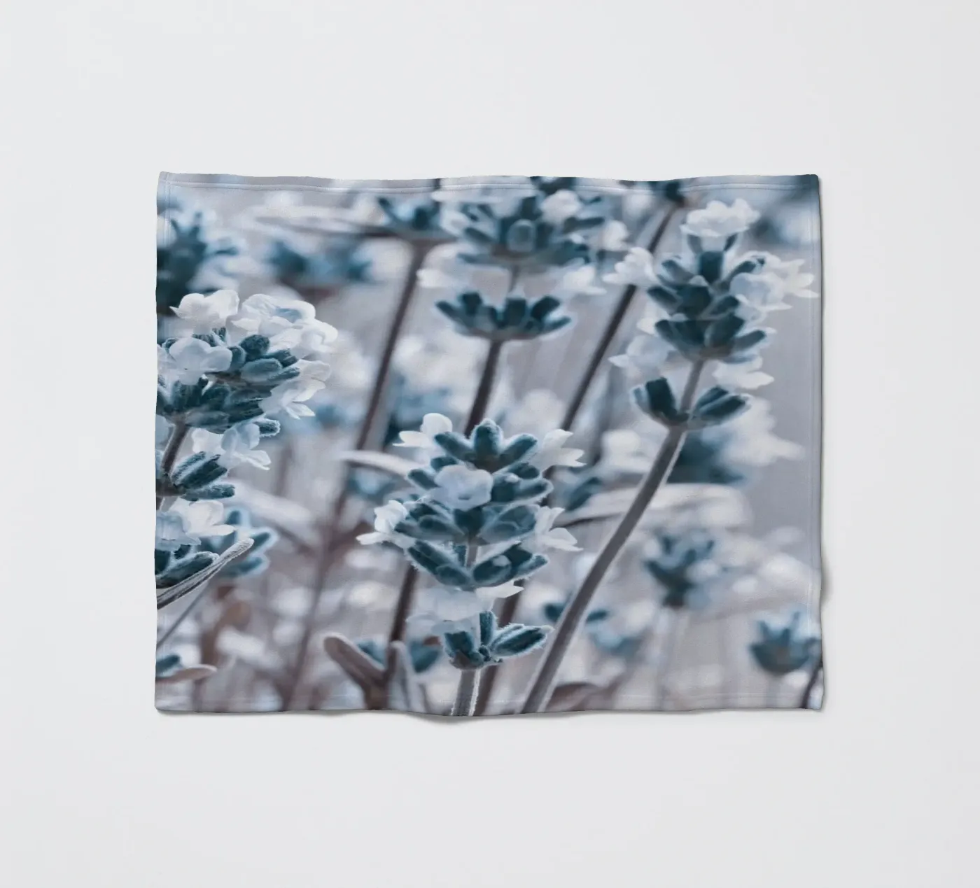 Lavender Fleecedecke von Atteloi Fotografie
