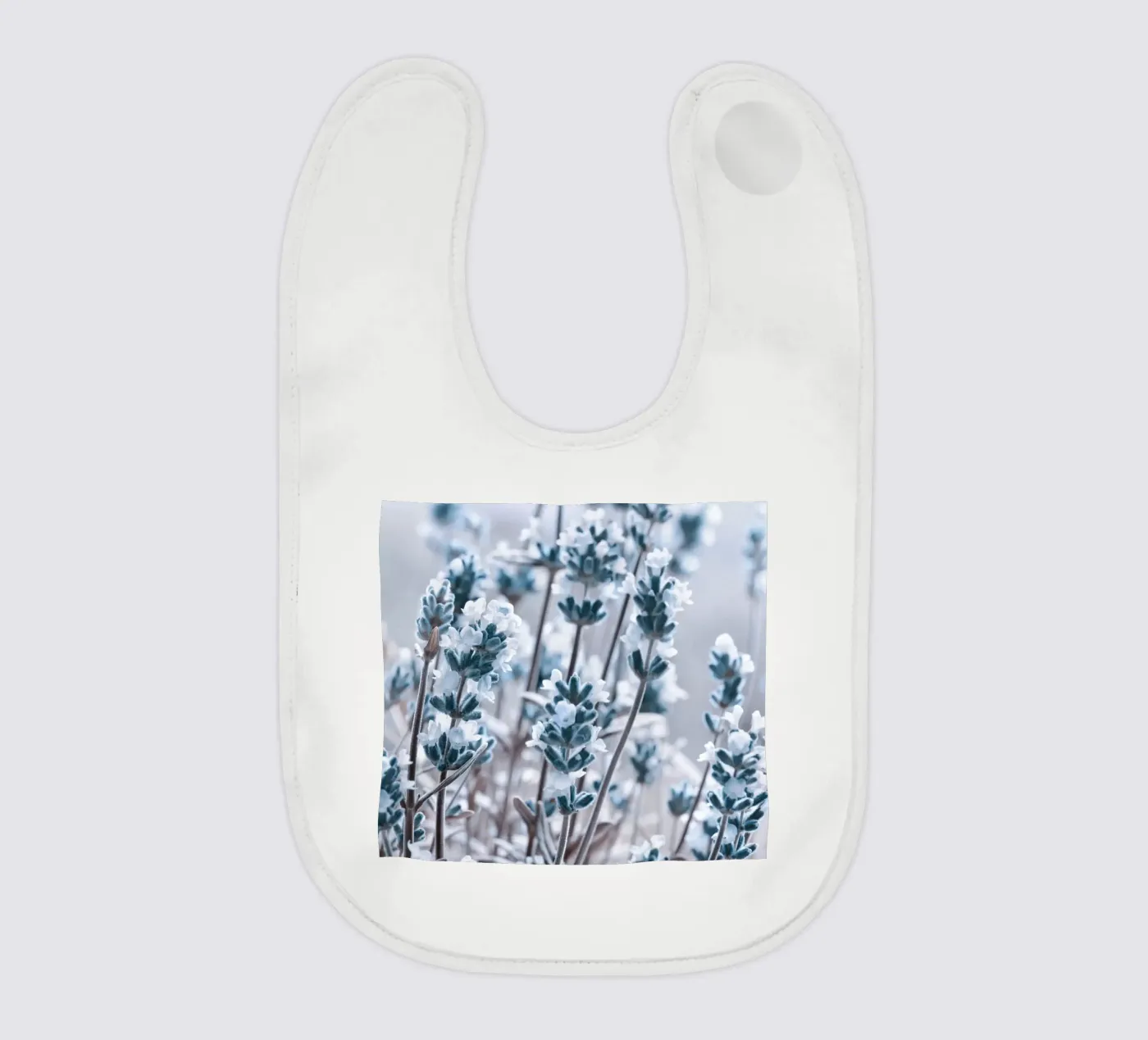 Lavanda bavaglino da Atteloi Fotografie