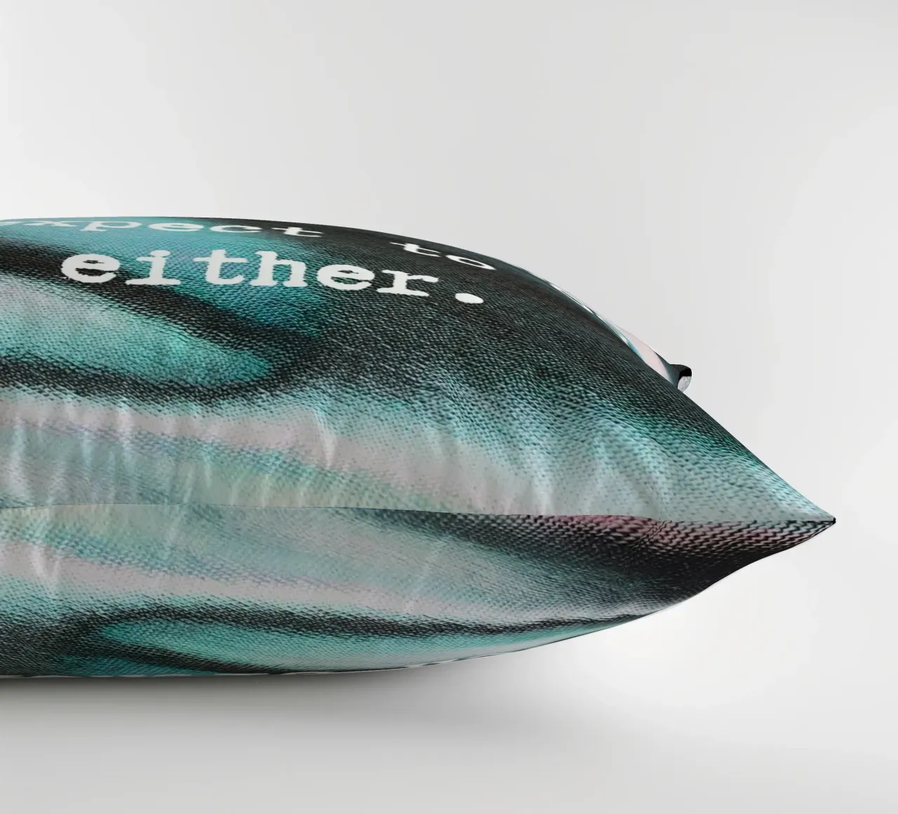 YOU CAN‘T CHASE TWO THINGS cuscino da ARTEVO