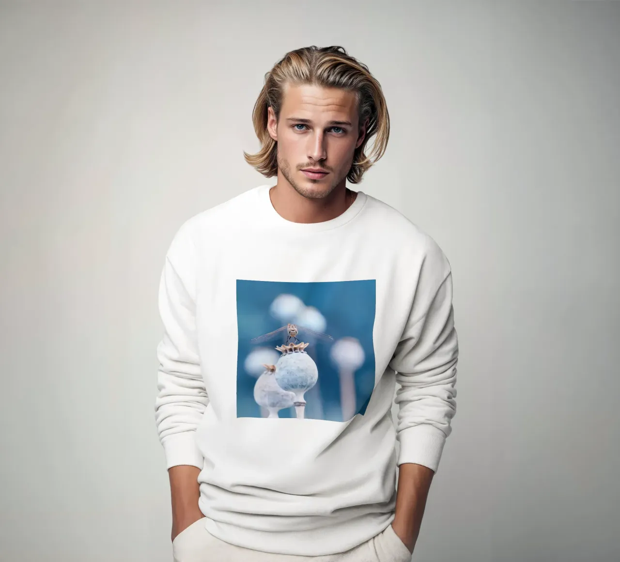 Libellula felpa da Atteloi