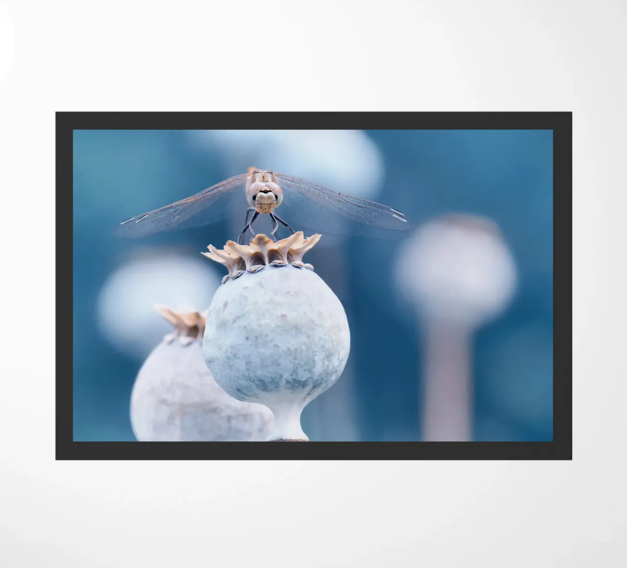 Dragonfly doormat by Atteloi