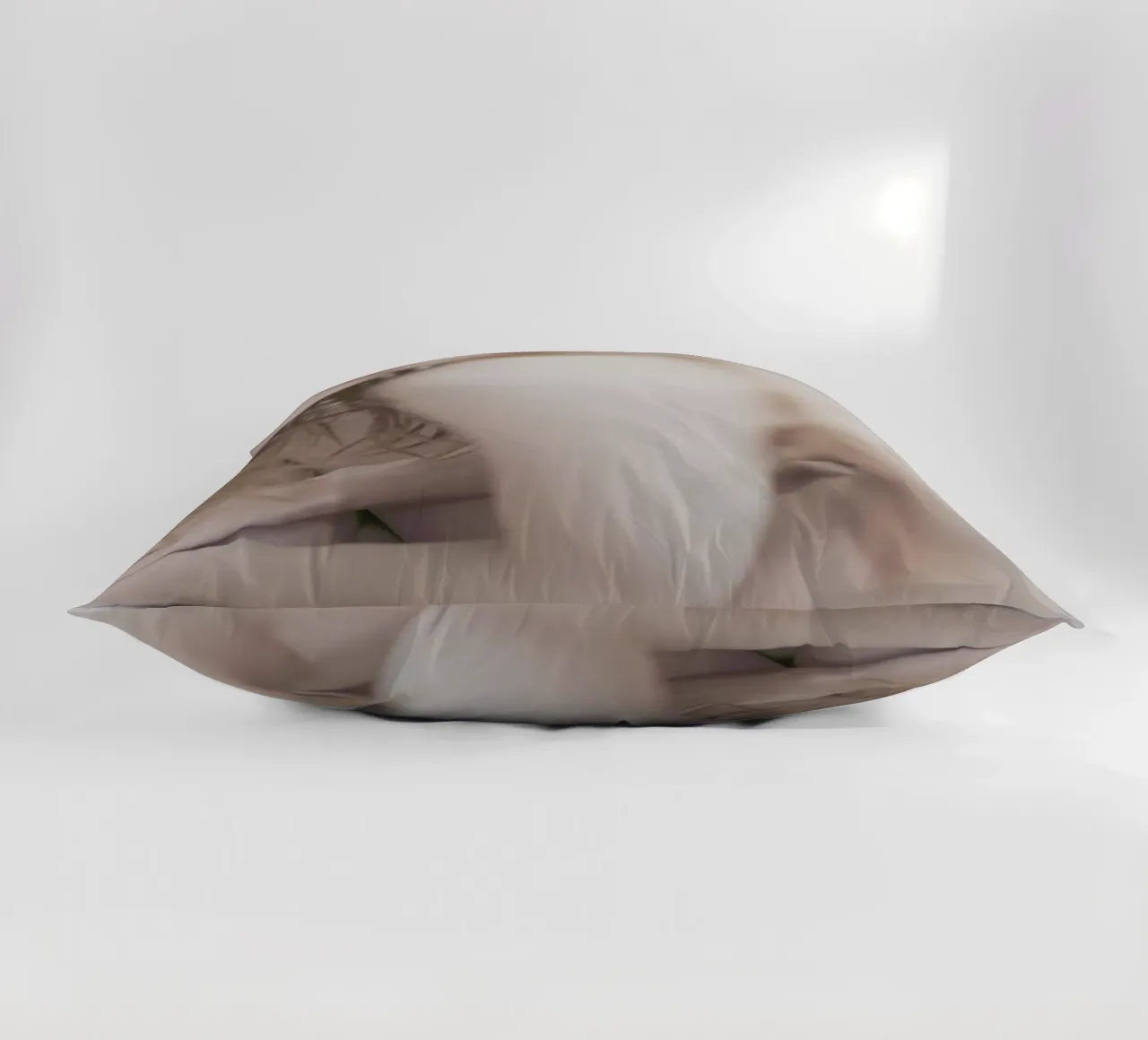 The Silkmoth 3 cuscino da Paul Aidan Perry