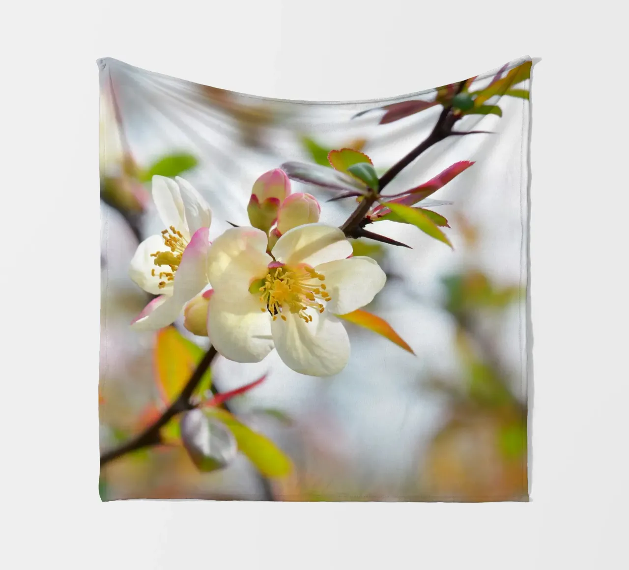 Spring fleece blanket by Atteloi