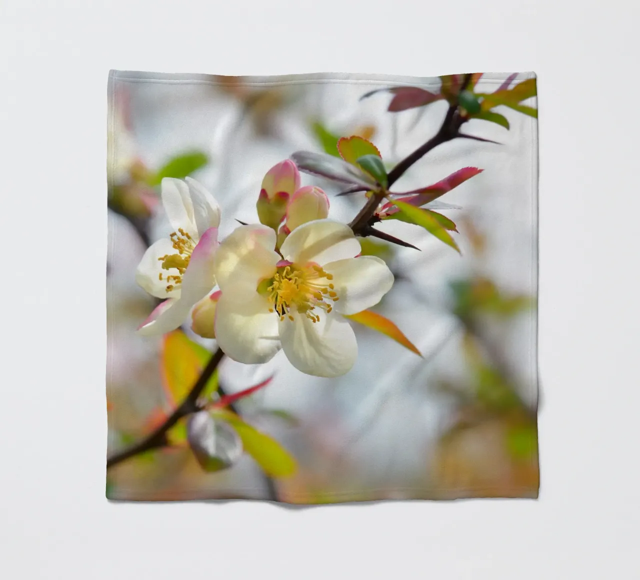 Spring fleece blanket by Atteloi