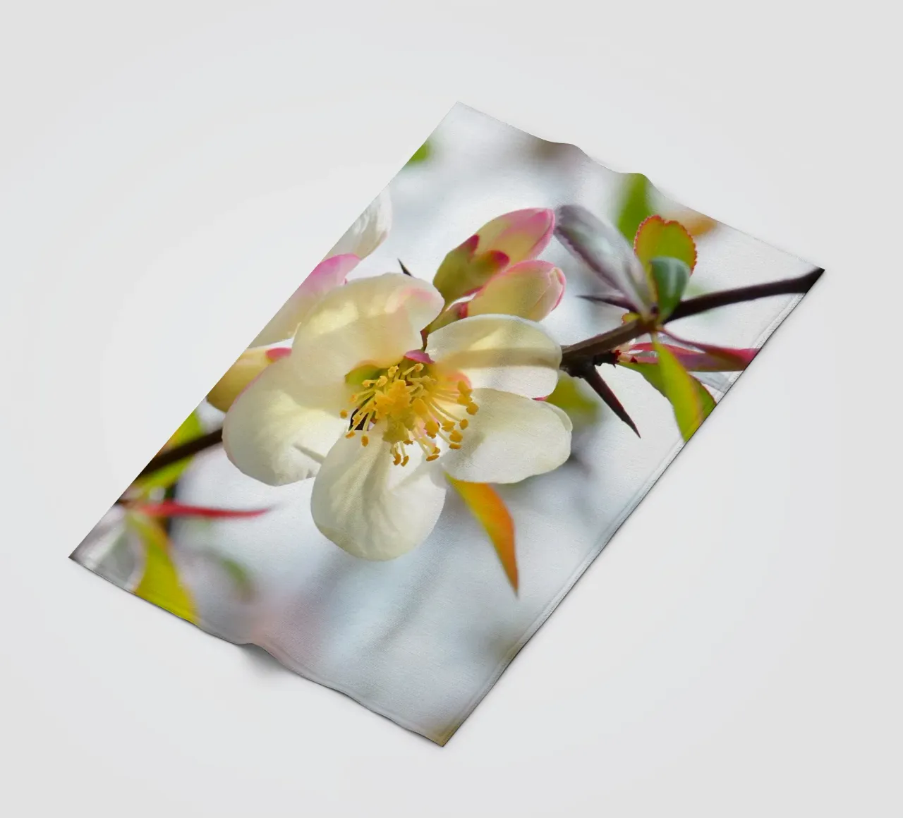 Spring fleece blanket by Atteloi