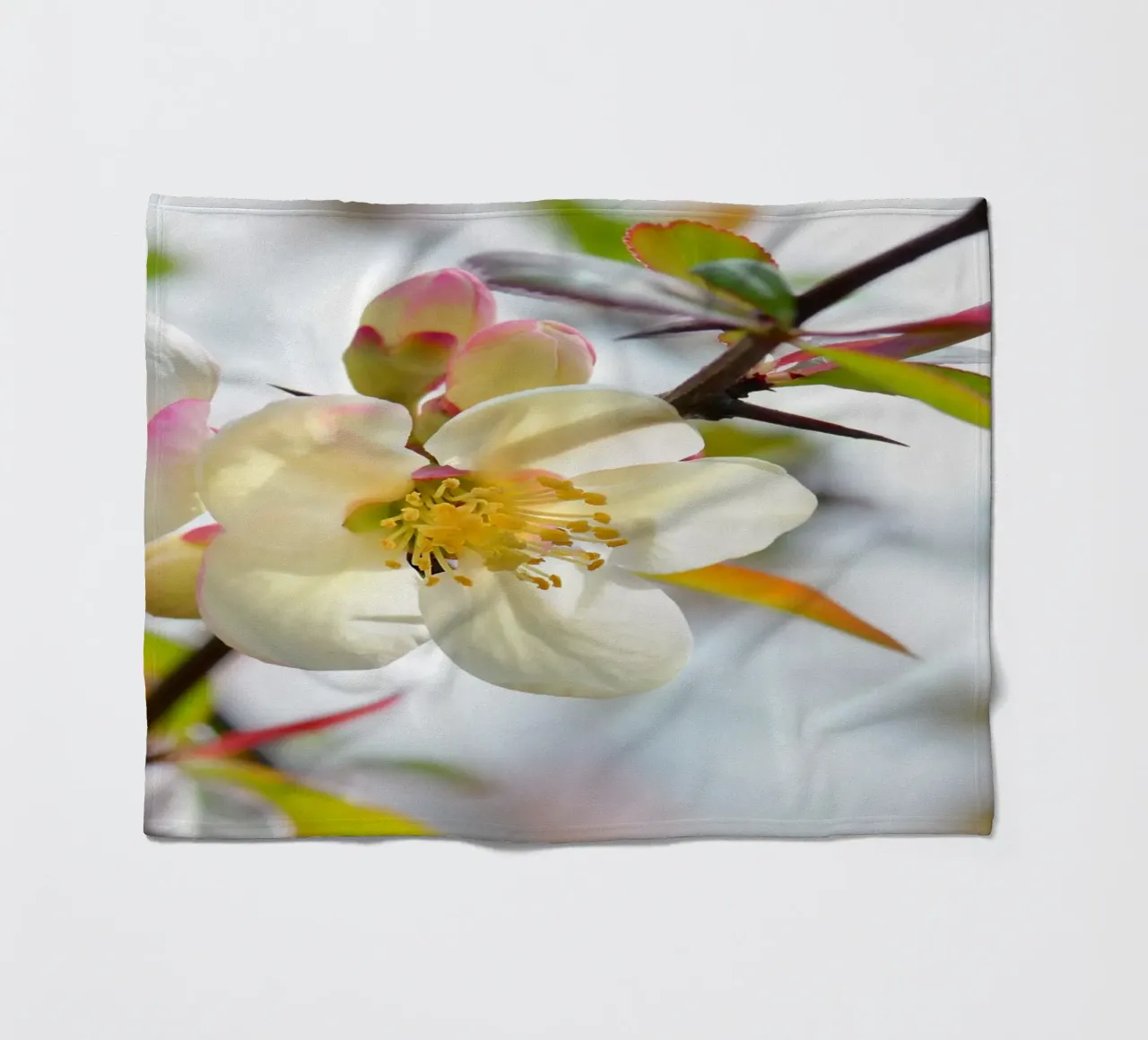 Spring fleece blanket by Atteloi