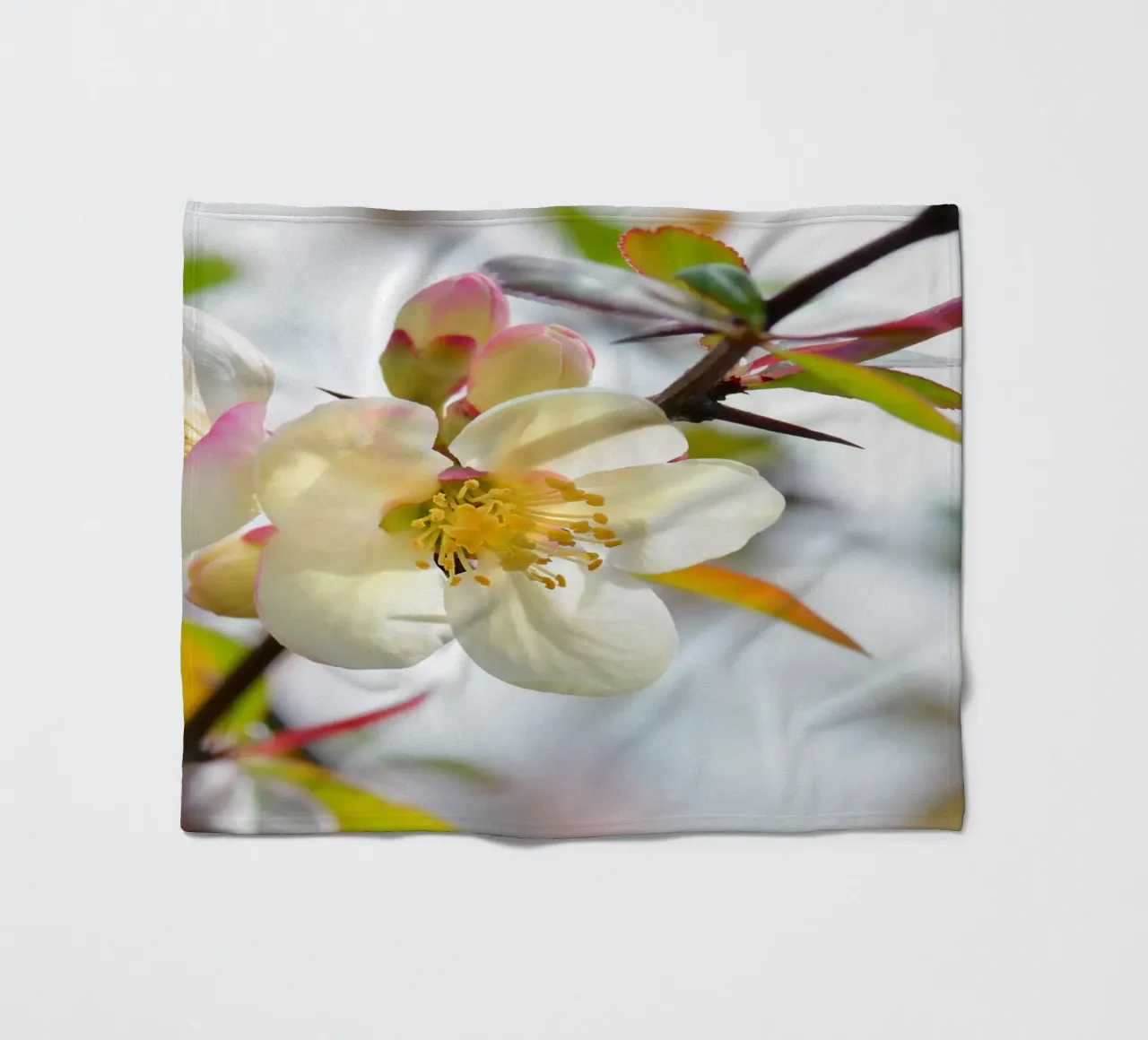 Spring fleece blanket by Atteloi