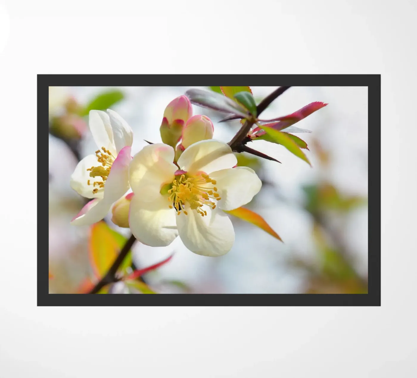 Spring doormat by Atteloi