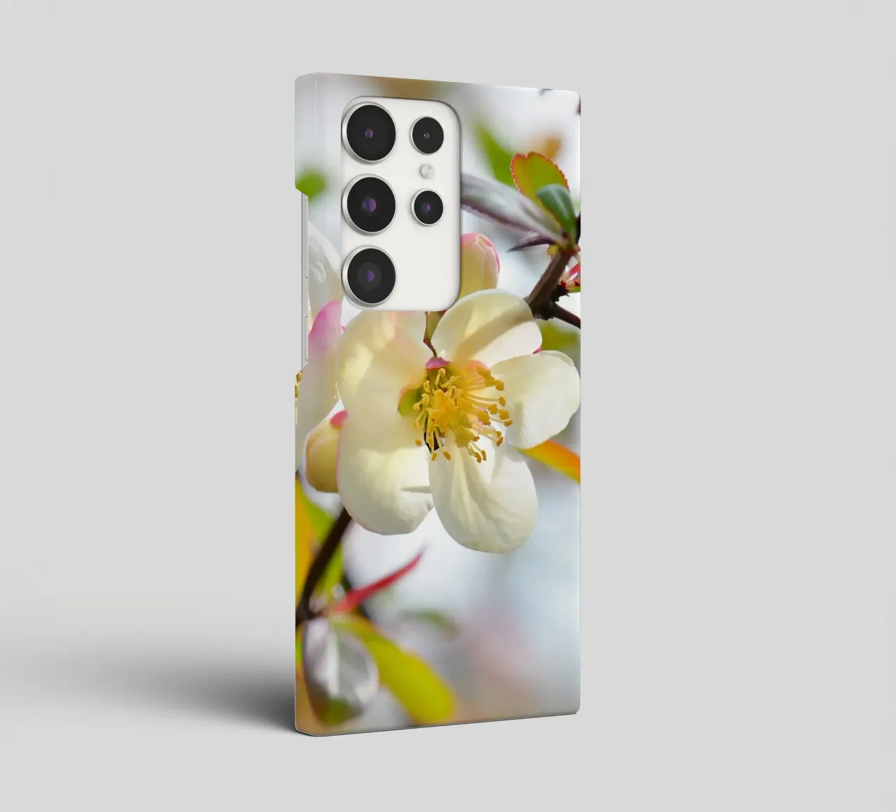 Primavera cover samsung da Atteloi