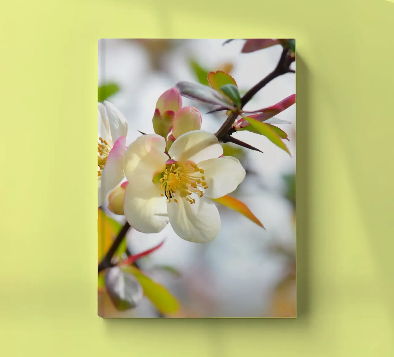 Spring notebook by Atteloi