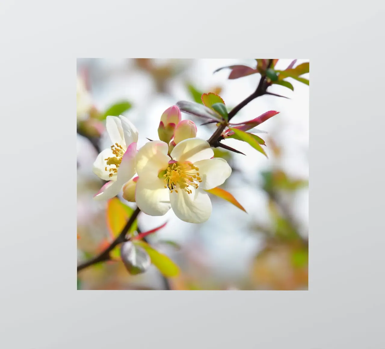 Spring sticker by Atteloi