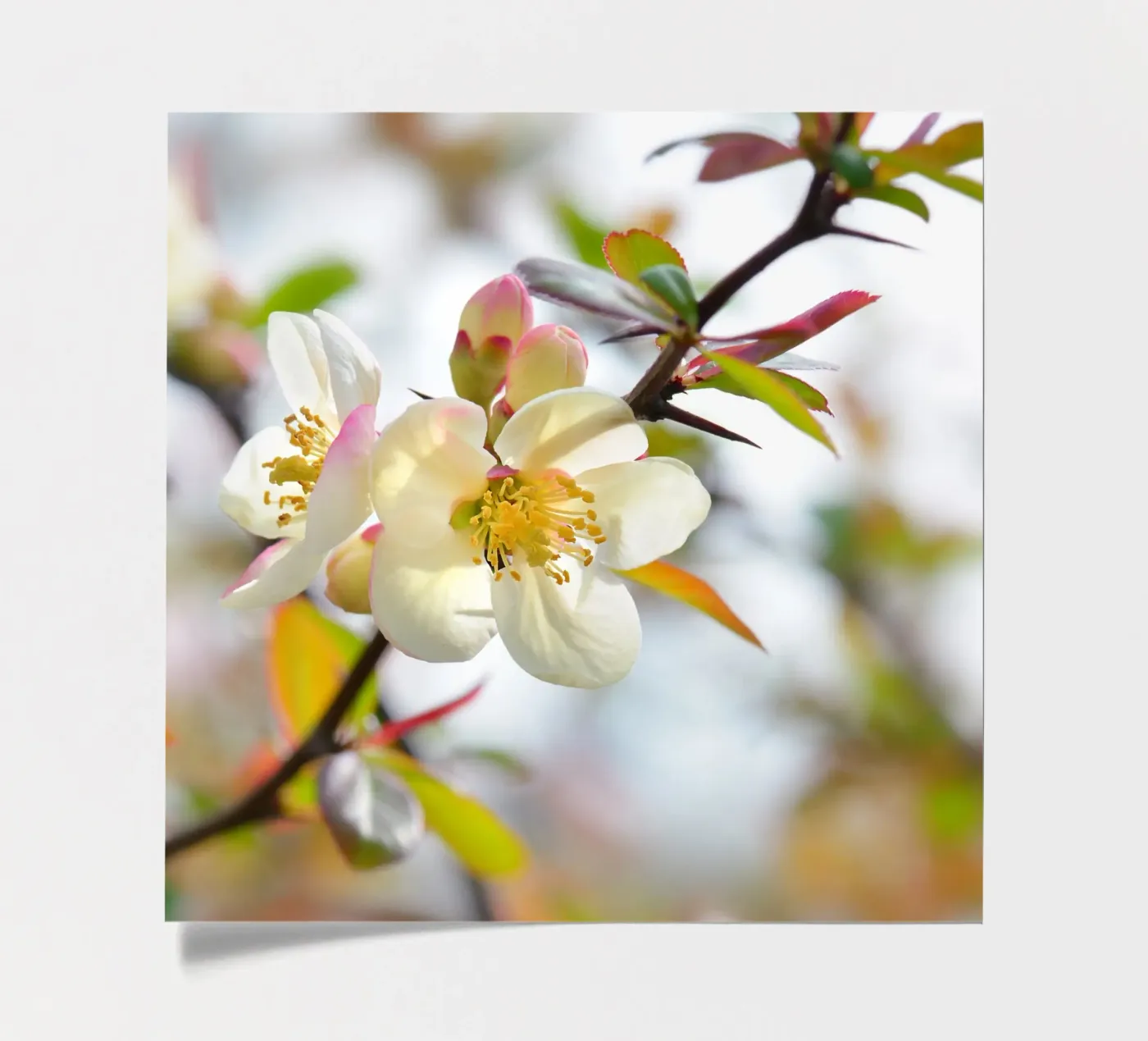 Spring sticker sheet by Atteloi