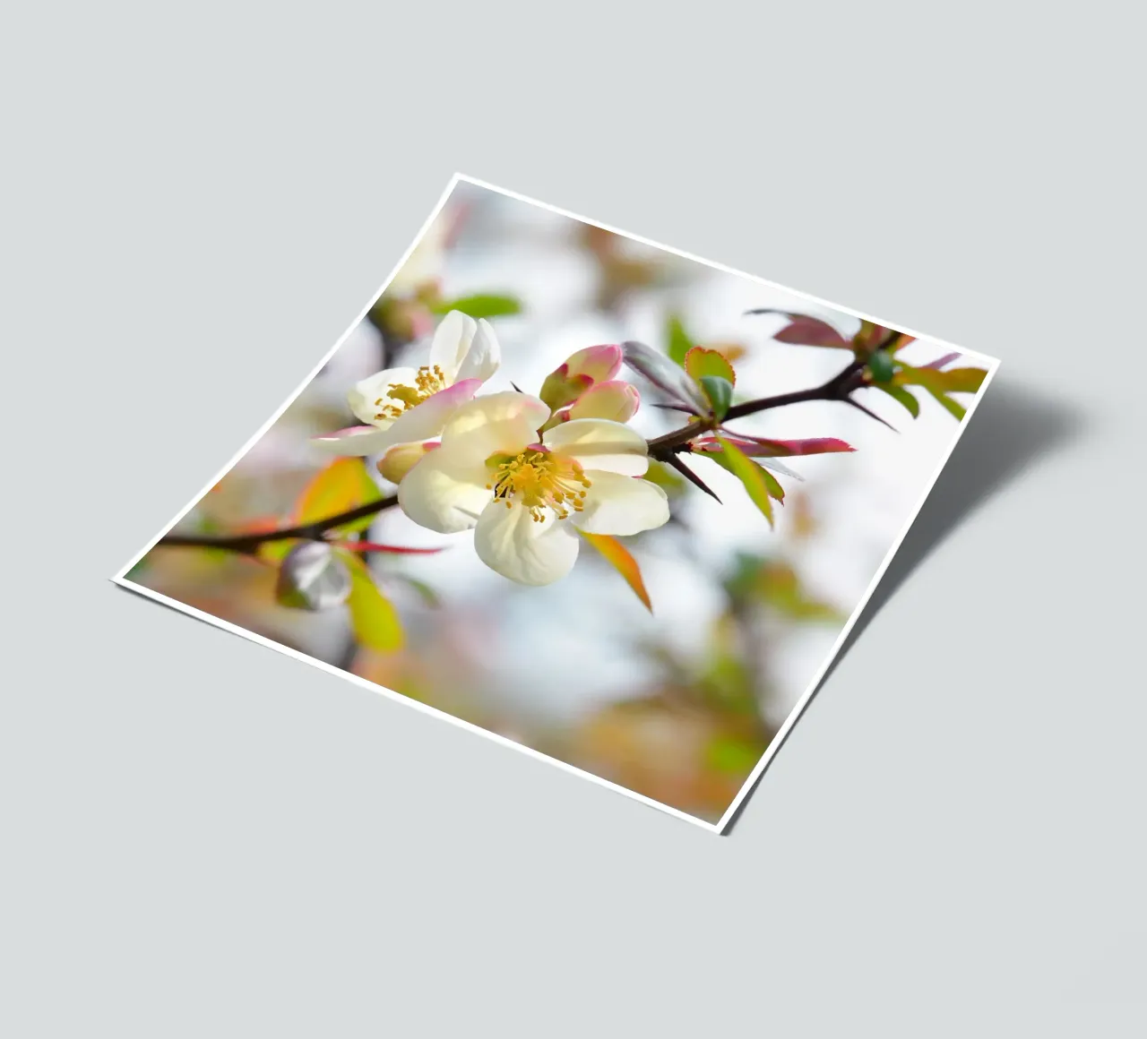 Spring sticker sheet by Atteloi