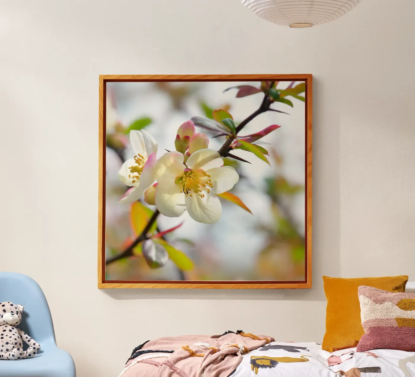 Spring plexiglass da Atteloi