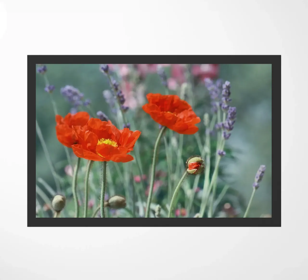 Klaprozen deurmat van Atteloi