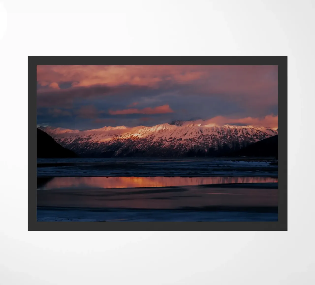 A Cold Evening zerbino da wowhannahphotos