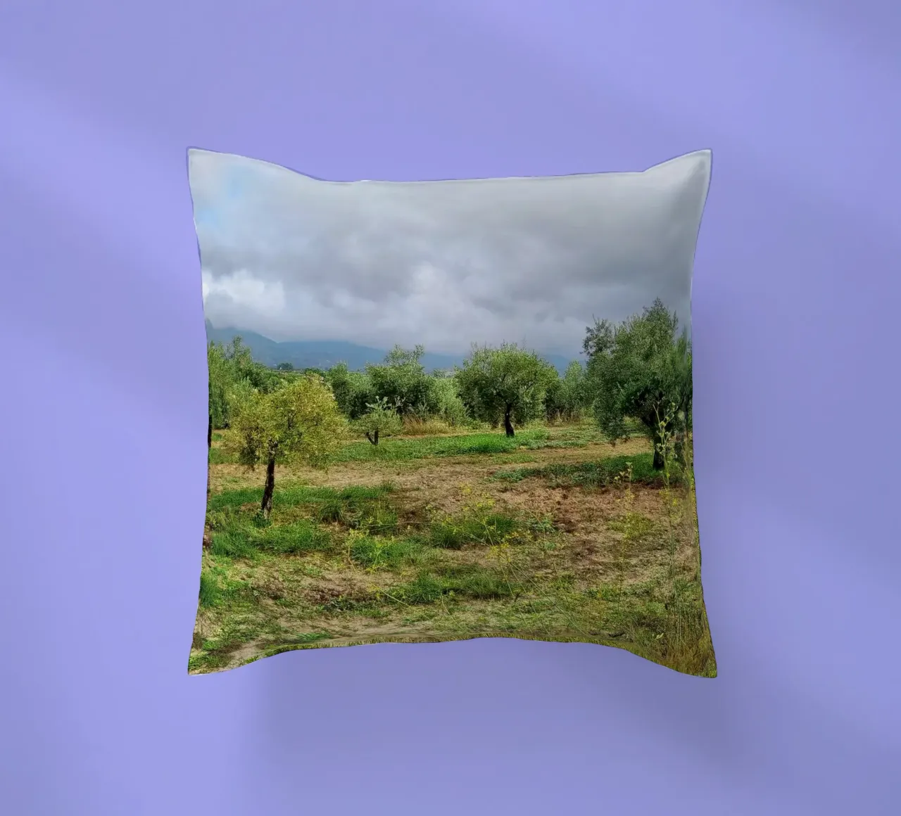 Alberi di ulivo cuscino da dava