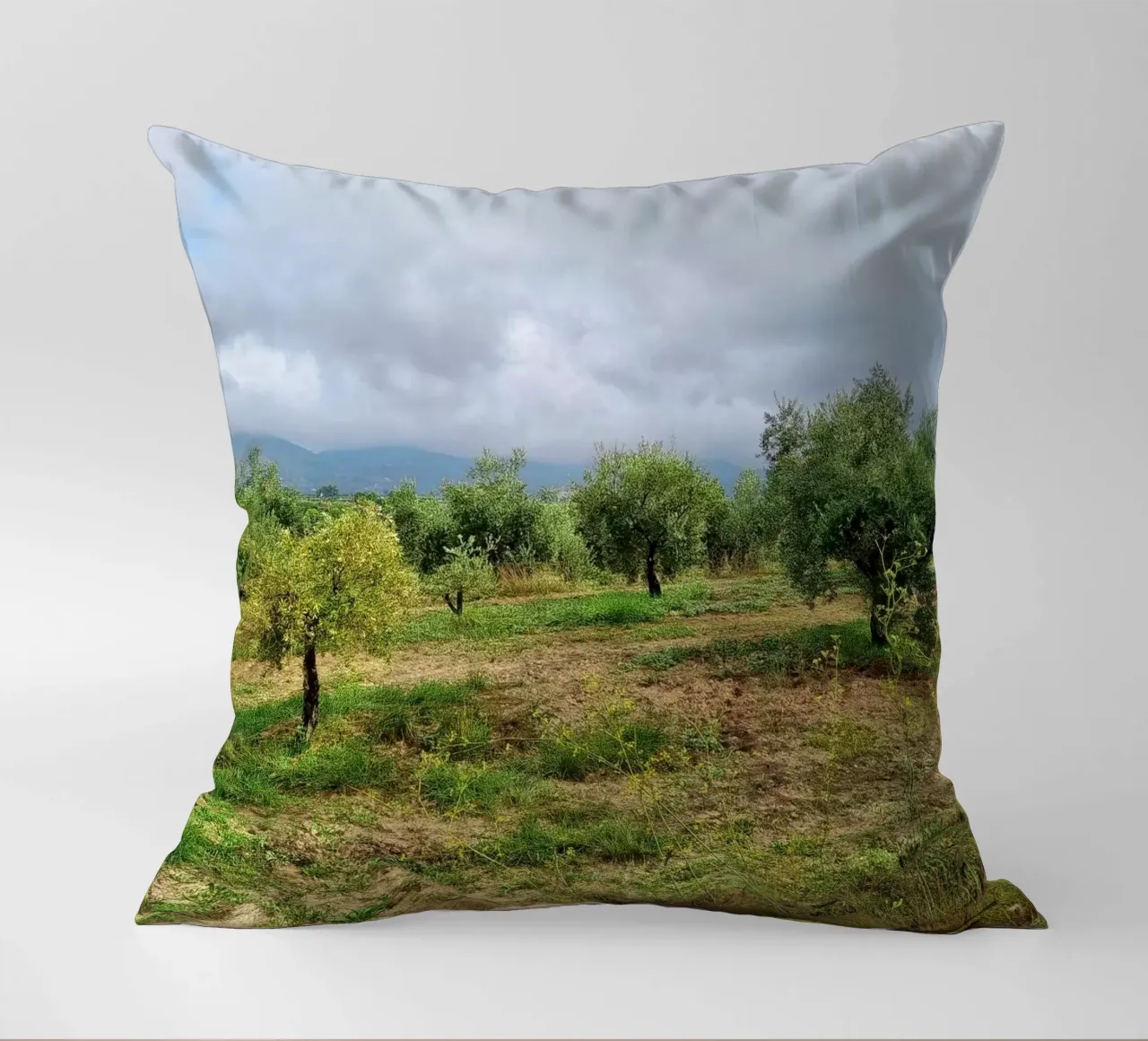 Alberi di ulivo cuscino da dava