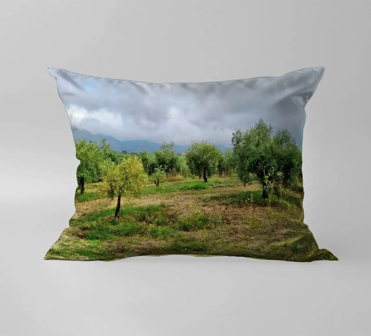 Alberi di ulivo cuscino da dava