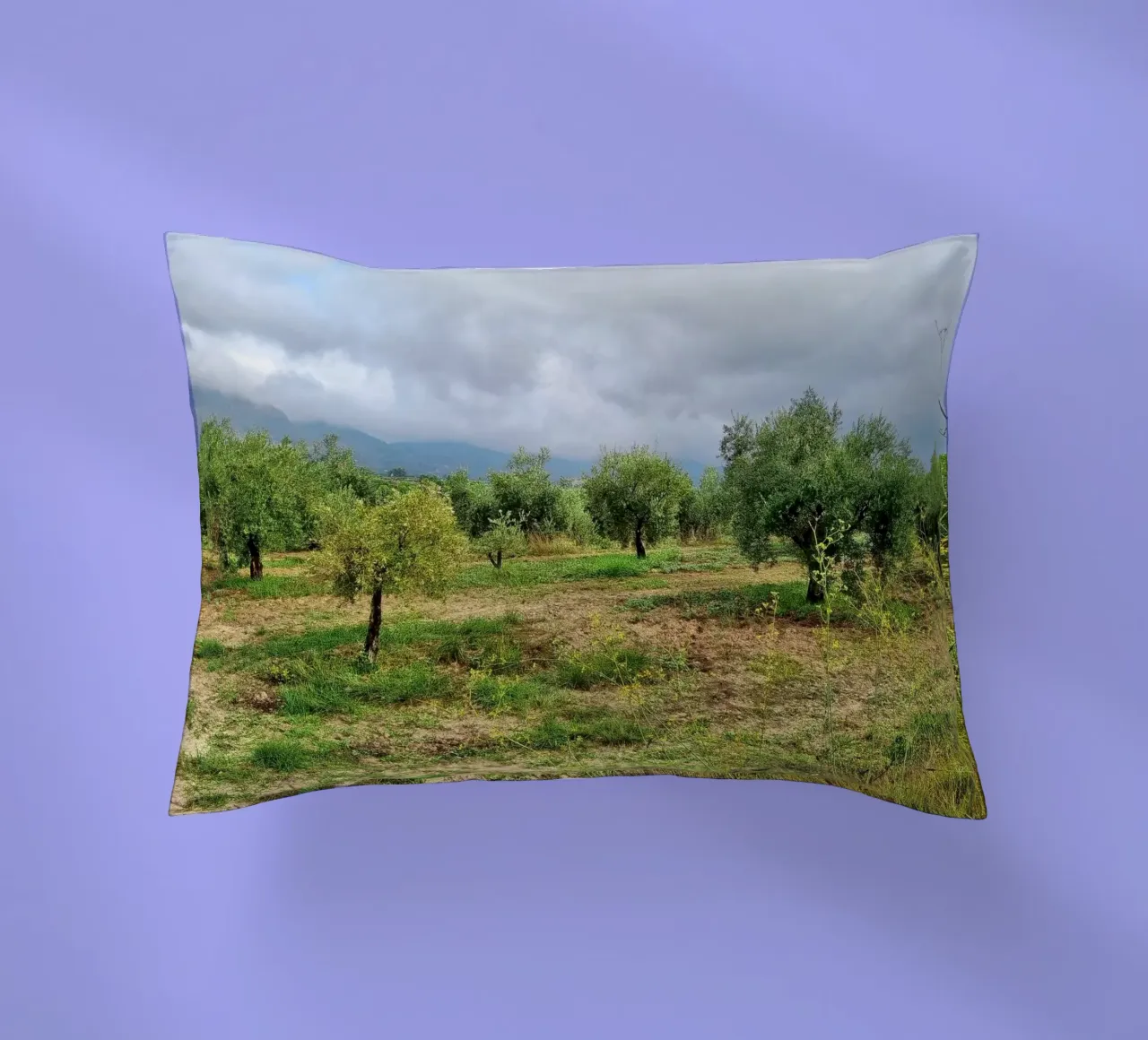 Alberi di ulivo cuscino da dava