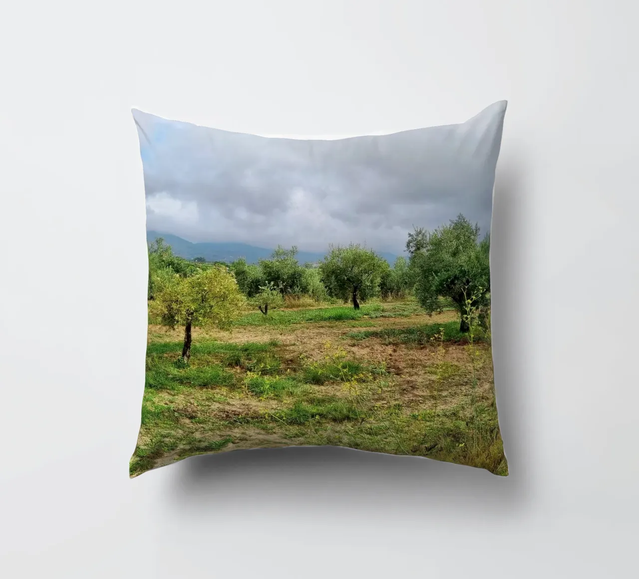 Alberi di ulivo cuscino da dava