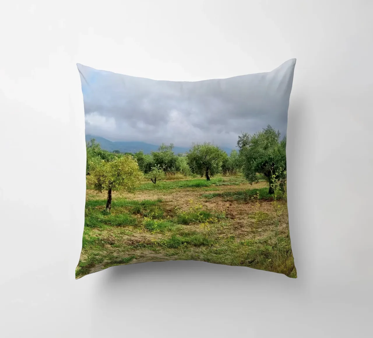 Alberi di ulivo cuscino da dava
