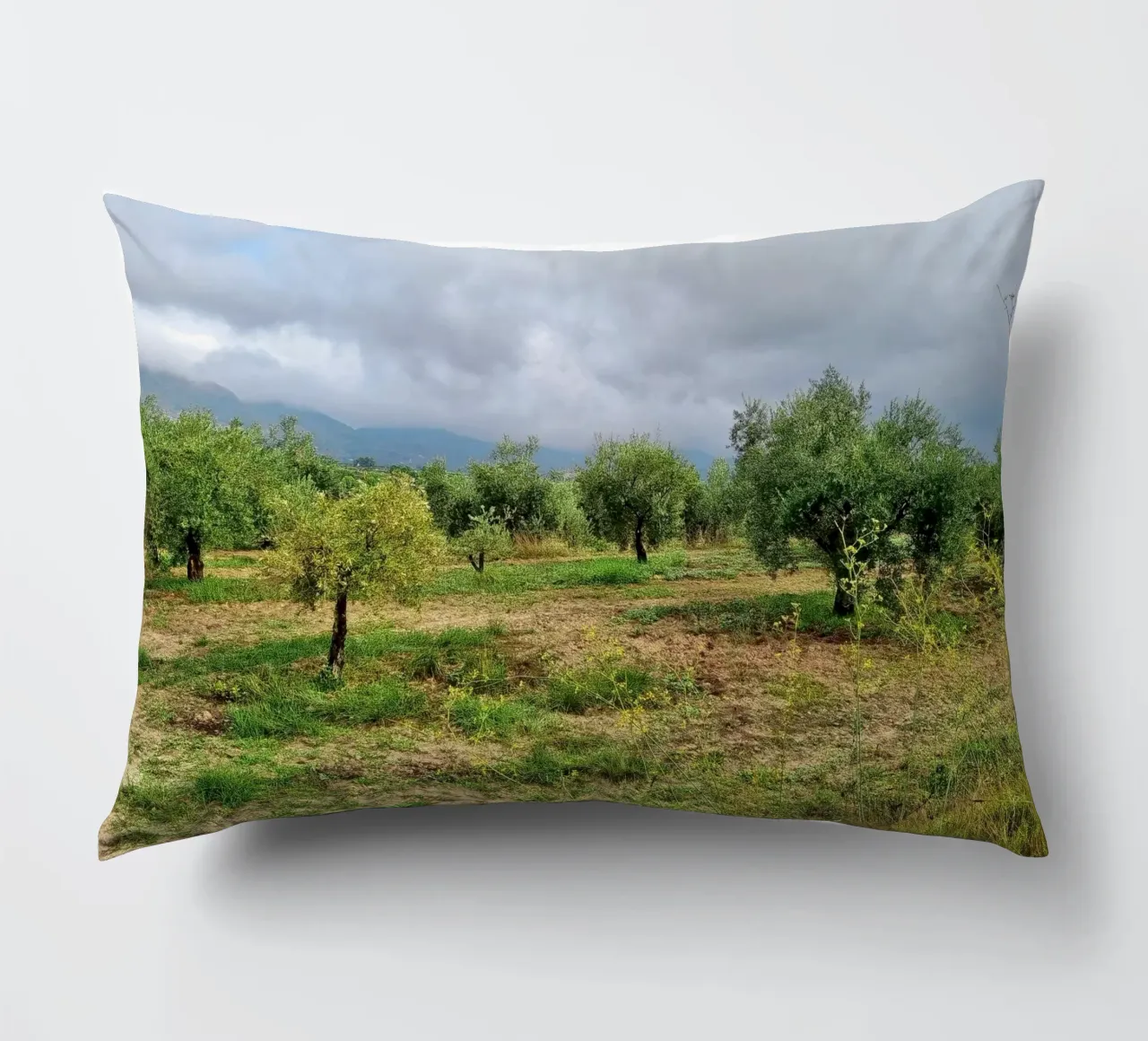 Alberi di ulivo cuscino da dava