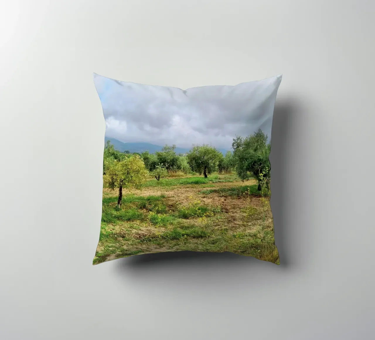 Alberi di ulivo cuscino da dava