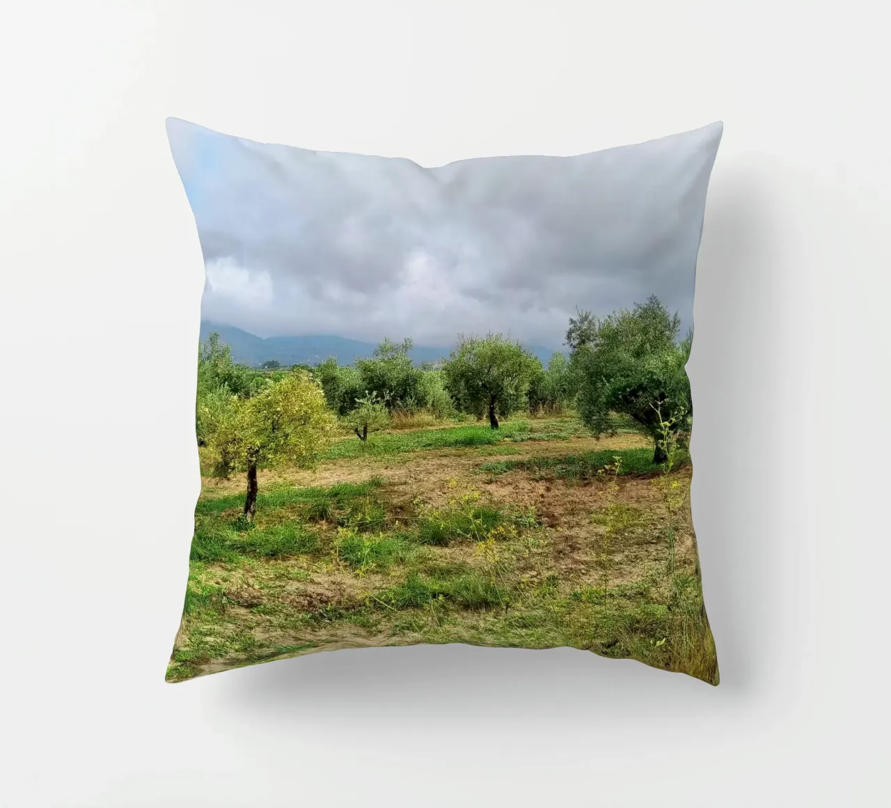 Alberi di ulivo cuscino da dava