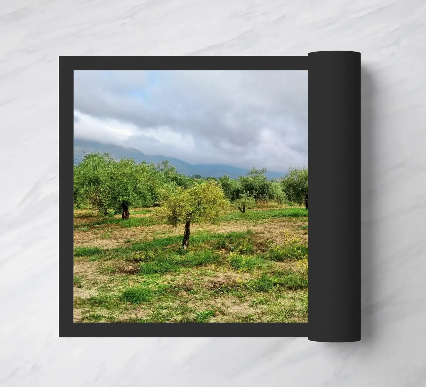 Olive trees doormat by dava