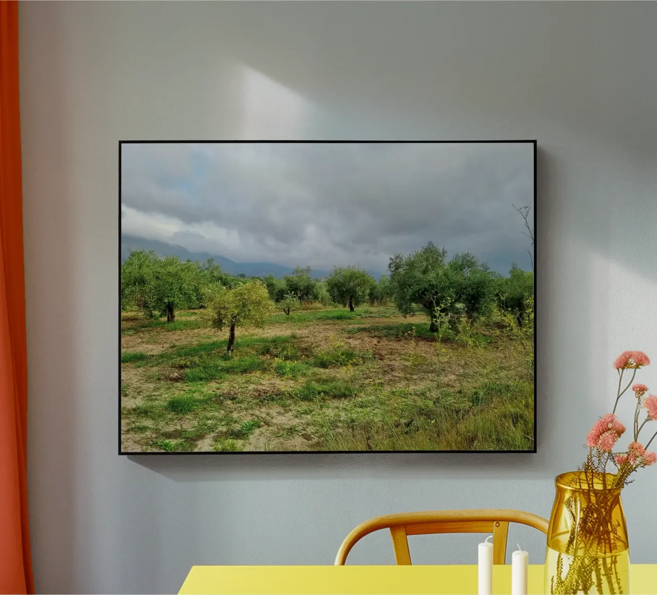 Alberi di ulivo plexiglass da dava