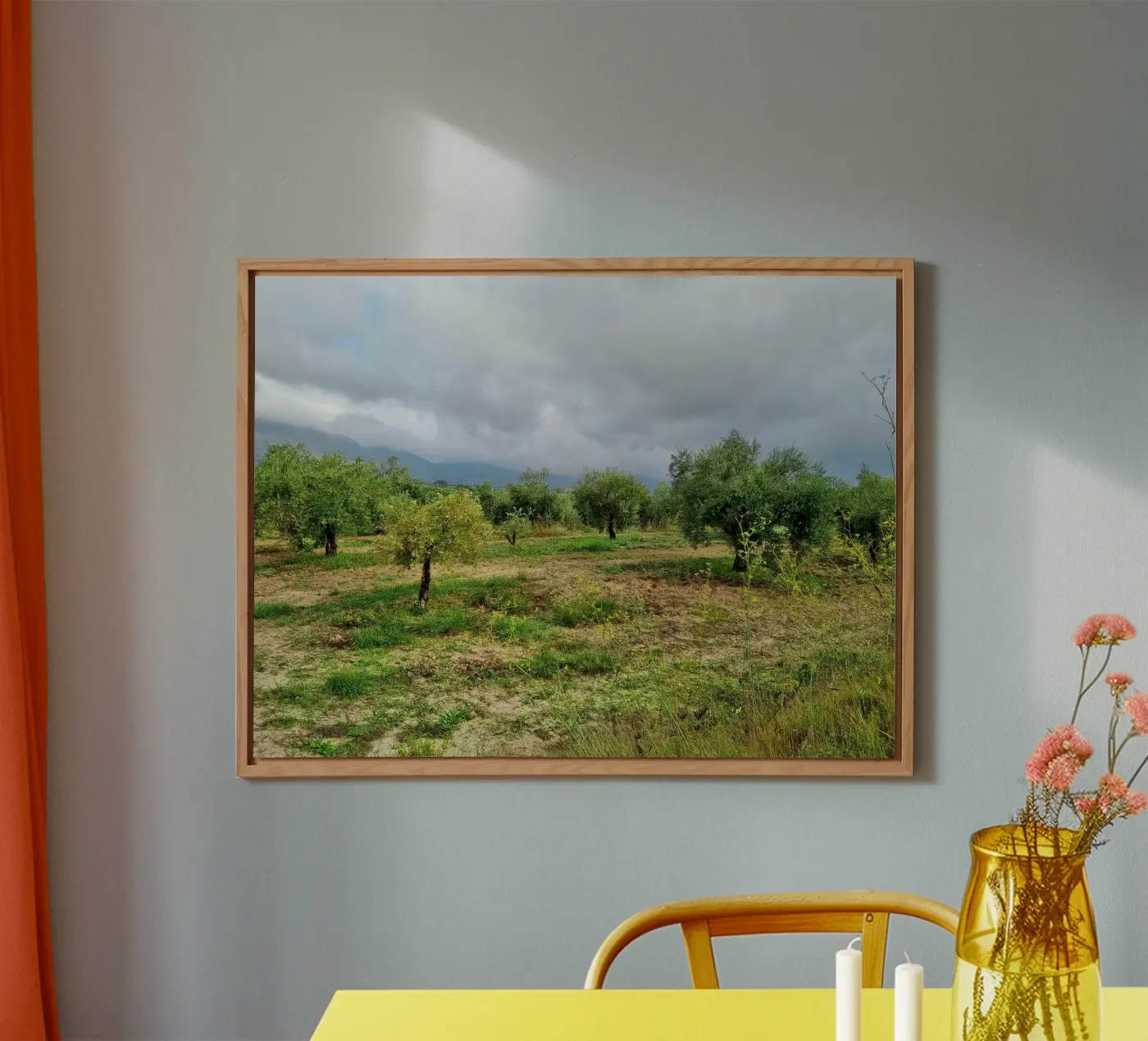 Alberi di ulivo pannello forex da dava