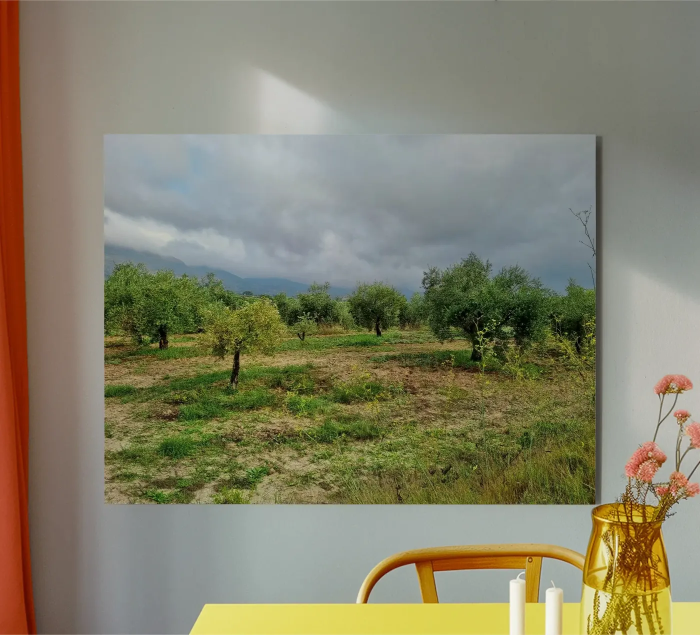 Alberi di ulivo pannello forex da dava