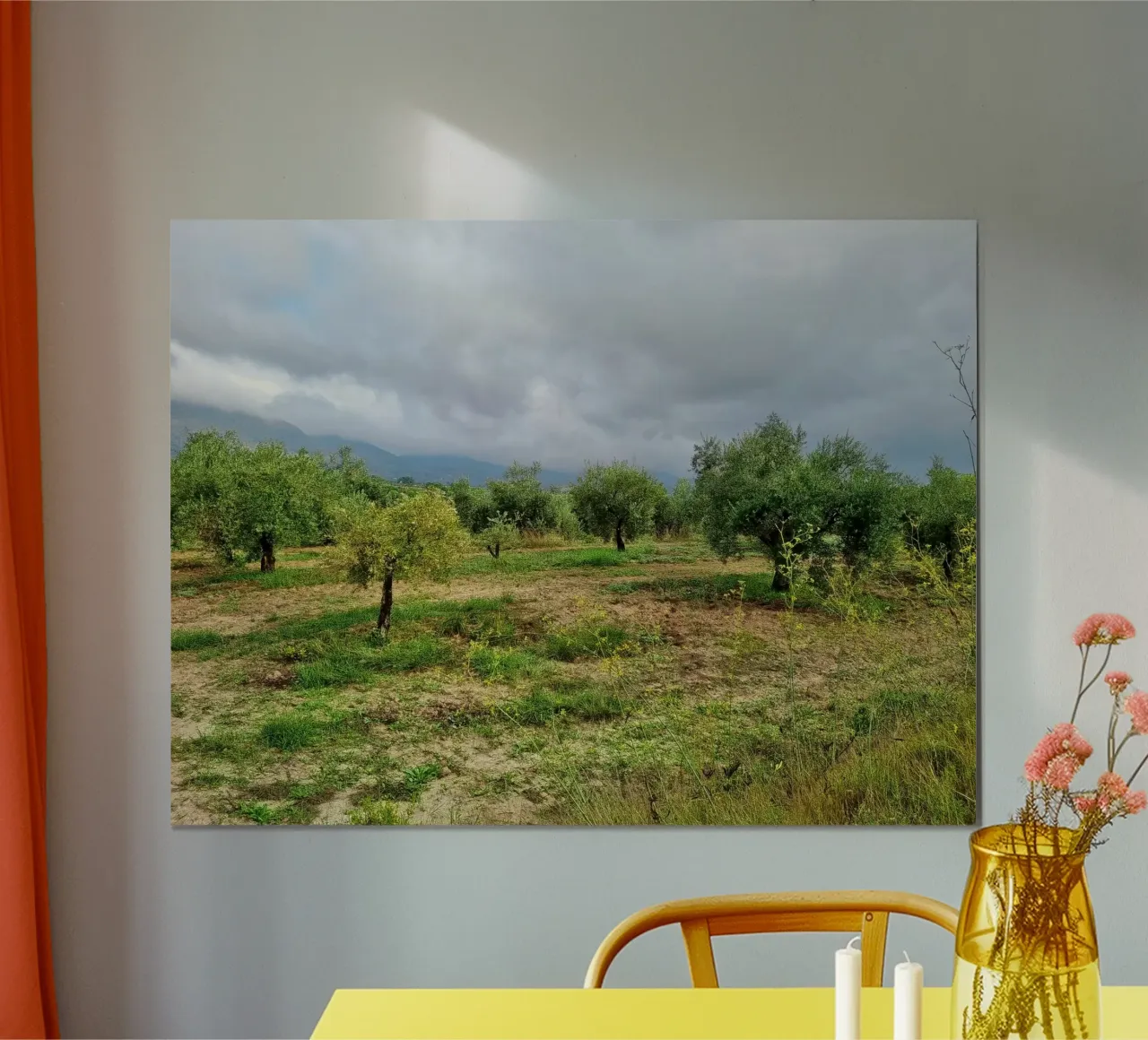 Olive trees poster by dava