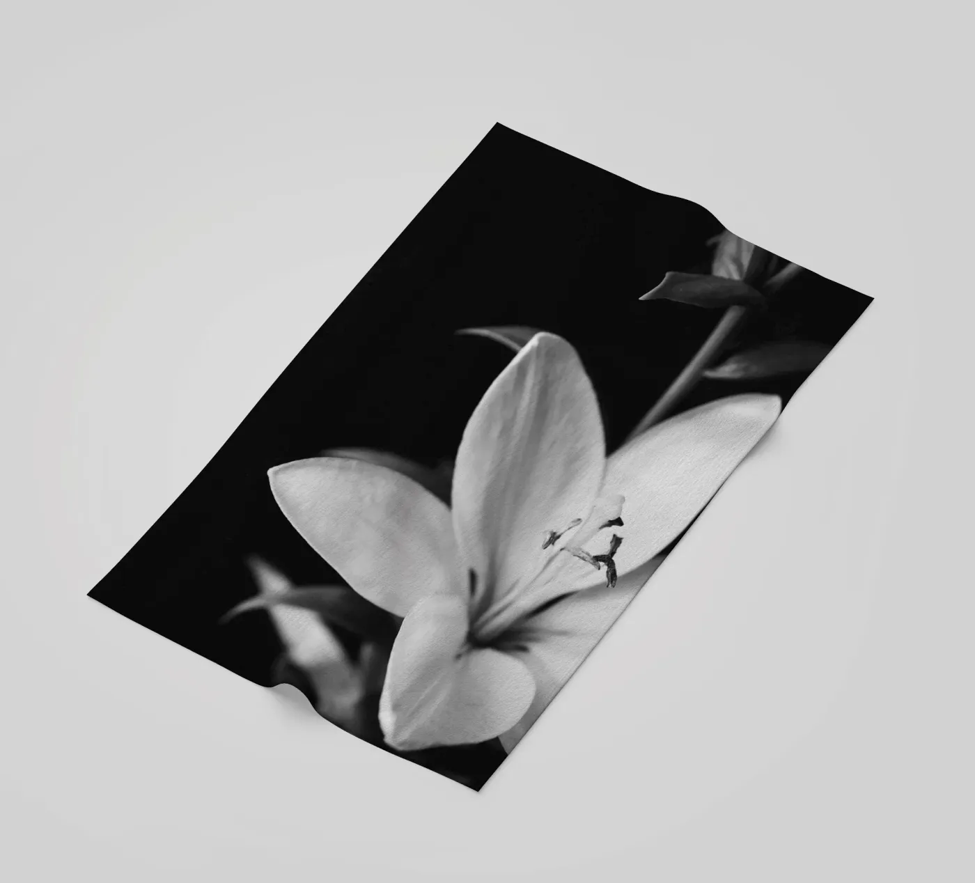 ORCHID telo mare da BAWA