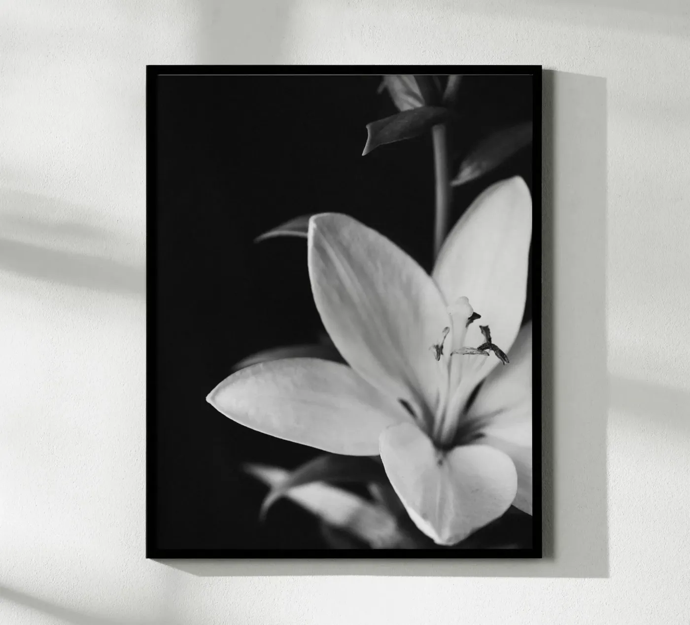 ORCHID poster da BAWA