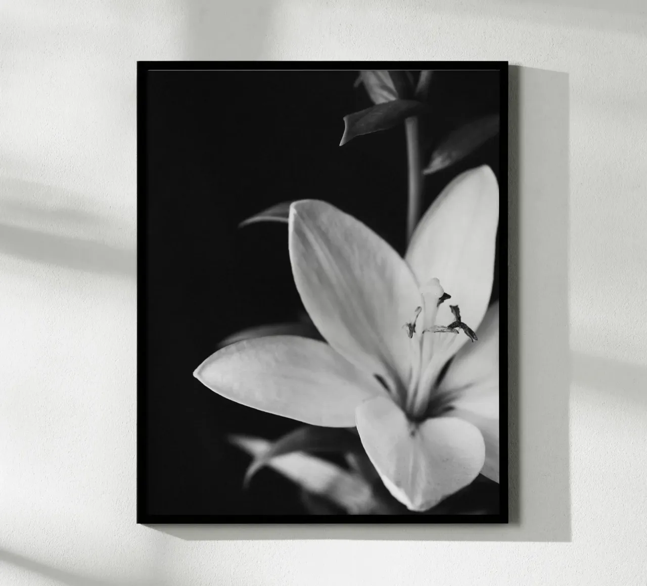 ORCHID poster da BAWA